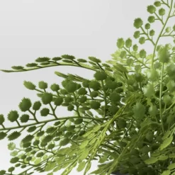Small Fern In Modern Pot Maiden Hair Arrangement - Threshold™ -Threshold GUEST 1de5448c 826d 45b4 9ee7 b8e0ec6c3f1d