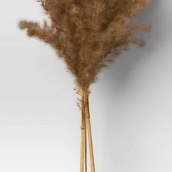 Pampas Grass Bundle - Threshold™ -Threshold GUEST 26edef61 6665 4adf 8950 0f1ca68295ab
