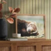 20" X 16" Bear Photography Framed Art Brown - Threshold™ -Threshold GUEST 3517e61a d5f0 4c54 bc45 14e5e4e062d4