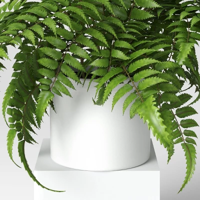 Boston Fern - Threshold™ 5 Boston Fern - Threshold™ - Image 3