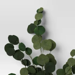 Preserved Eucalyptus Bundle - Threshold™ 6 Preserved Eucalyptus Bundle - Threshold™ -Threshold GUEST 4b2c01ce 22ae 4399 a110 c0ca092c200c