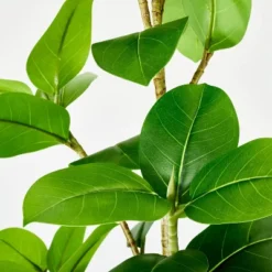 Banyan Leaf Potted Tree - Threshold™ Designed With Studio McGee -Threshold GUEST 55aac4b8 a715 4bb8 acd1 95868b9e5e7e