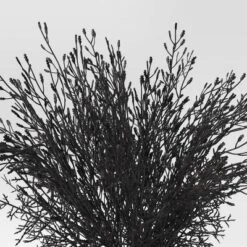 Halloween Grass Arrangement - Threshold™ 6 Halloween Grass Arrangement - Threshold™ -Threshold GUEST 5834dd4b e292 4e7e 86c6 4be244afb3d9