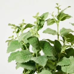 Artificial Potted Mint Leaf - Threshold™ Designed With Studio McGee 6 Artificial Potted Mint Leaf - Threshold™ Designed With Studio McGee -Threshold GUEST 588aa143 beda 4a42 a6ea 2b447ef098b7