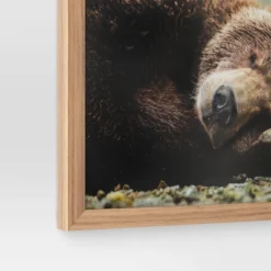 20" X 16" Bear Photography Framed Art Brown - Threshold™ 7 20" X 16" Bear Photography Framed Art Brown - Threshold™ -Threshold GUEST 8d29808a 8d0a 4121 a8c8 64d15cc45658