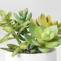Artificial Succulents Plant In Pot - Threshold™ 6 Artificial Succulents Plant In Pot - Threshold™ -Threshold GUEST 90eb1522 2fb2 472e 8125 d6acdc8fd939