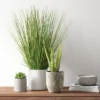 25" X 15" Artificial Onion Grass Arrangement In Ceramic Pot - Threshold™ 2 25" X 15" Artificial Onion Grass Arrangement In Ceramic Pot - Threshold™ -Threshold GUEST 9780783e 14a4 48cf 8351 1567c24a520e