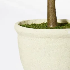 Ficus Tree - Threshold™ Designed With Studio McGee 7 Ficus Tree - Threshold™ Designed With Studio McGee -Threshold GUEST b527c49c 40e7 4f4d 8026 e60817b7e327