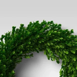 21.25" Preserved Boxwood Wreath - Threshold™ -Threshold GUEST bd029a70 1da0 4655 86eb 9427f613fc99