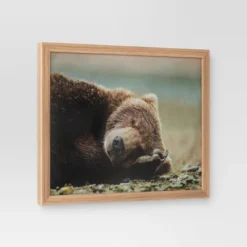 20" X 16" Bear Photography Framed Art Brown - Threshold™ 6 20" X 16" Bear Photography Framed Art Brown - Threshold™ -Threshold GUEST bdd5f4cc 4d39 4967 a892 83937e1fe495