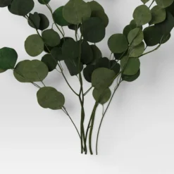 Preserved Eucalyptus Bundle - Threshold™ 7 Preserved Eucalyptus Bundle - Threshold™ -Threshold GUEST c7dd4b87 faec 4ba4 94c4 c0953dd894d7